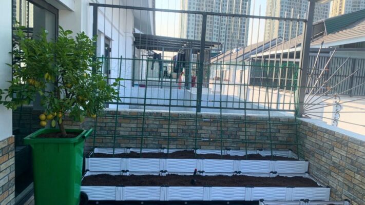 Vườn trồng rau sân thượng sử dụng chậu lắp ghép Việt Nam
