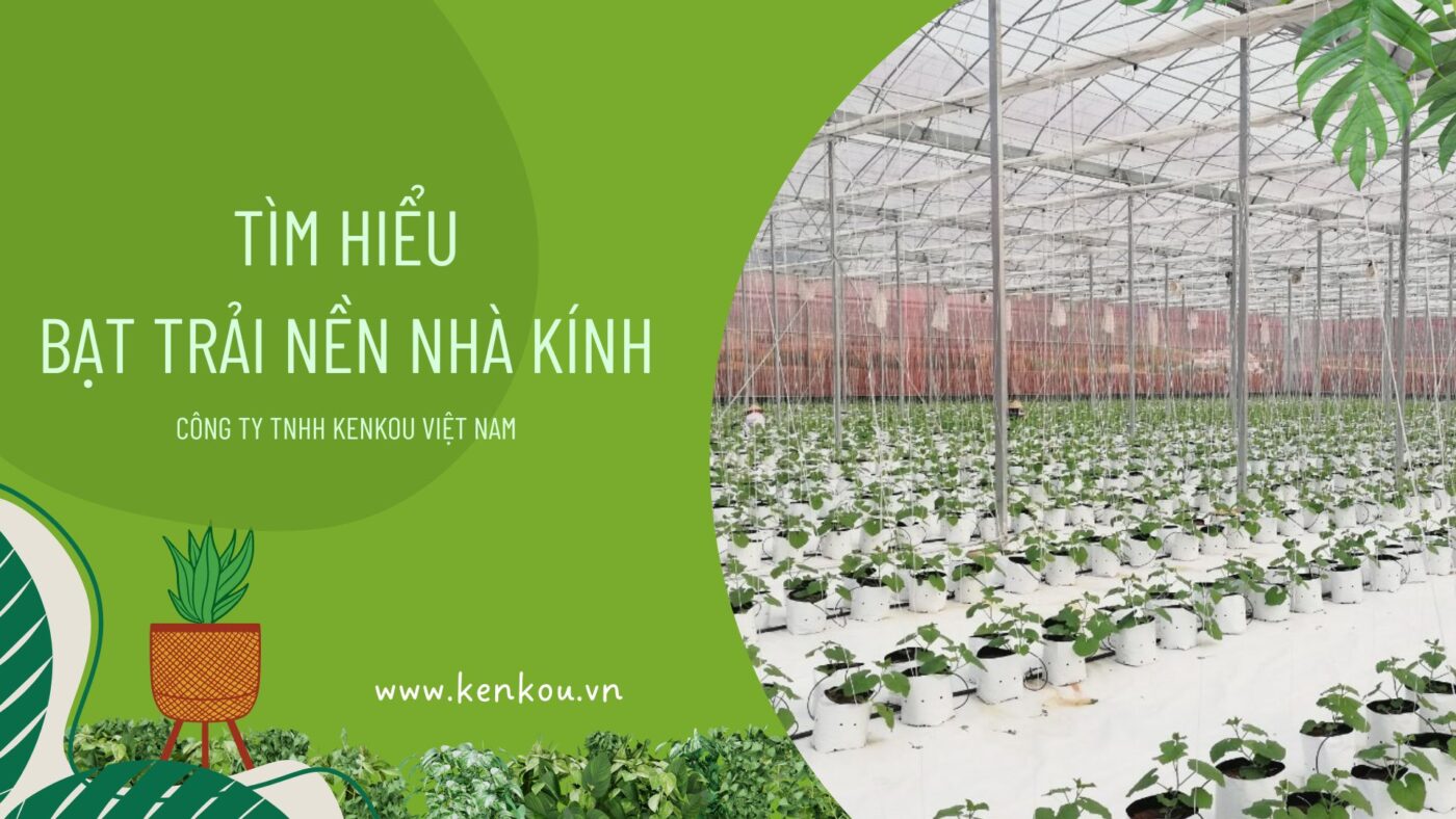 Tìm hiểu bạt trải nền nhà kính
