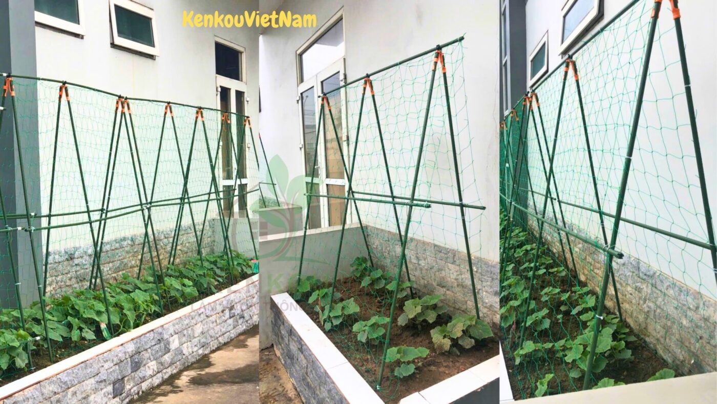 Giàn cây leo chữ A lắp đặt tại công ty Hanwa