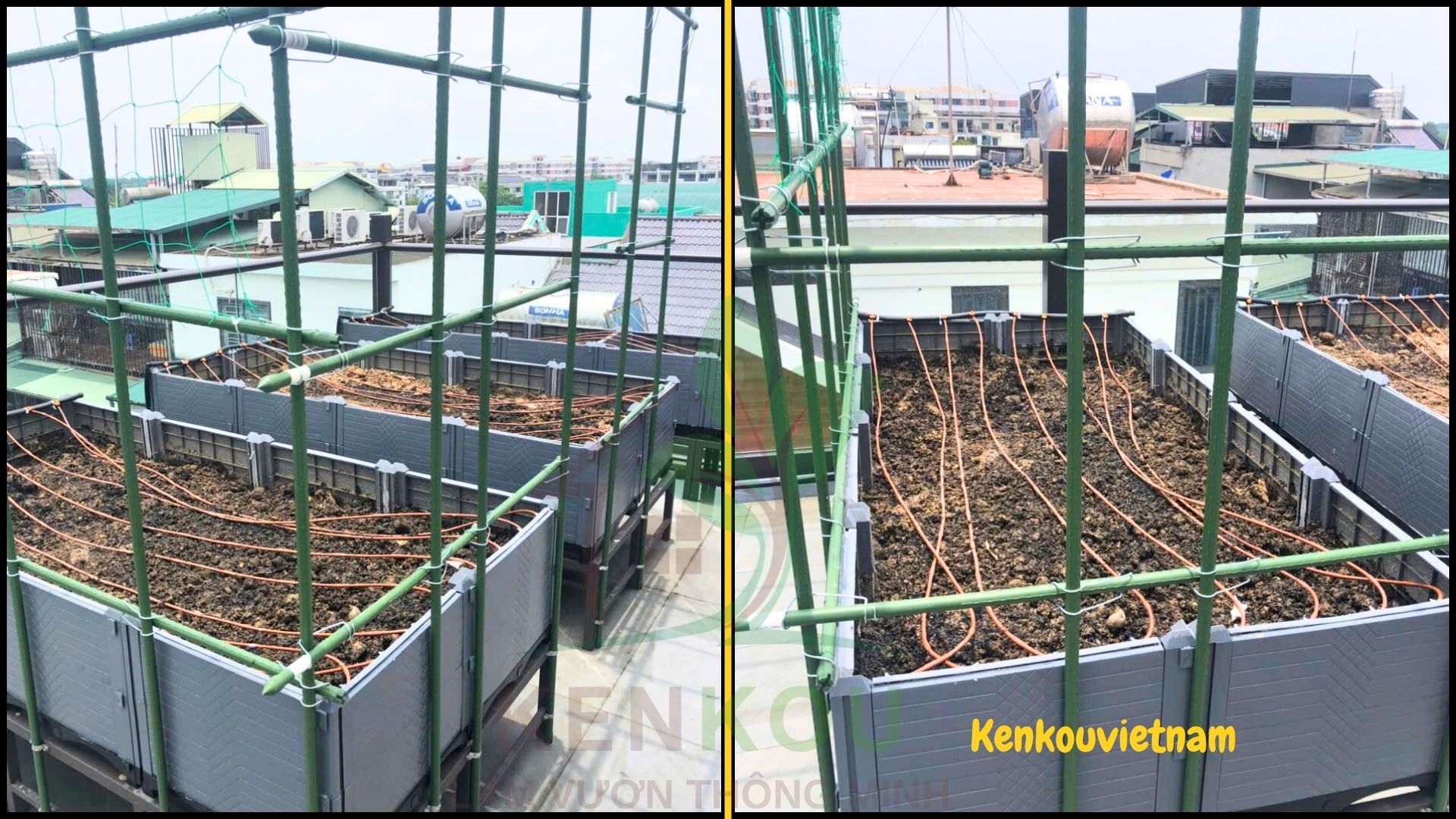 Dự án vườn rau sân thượng Đặng Xá